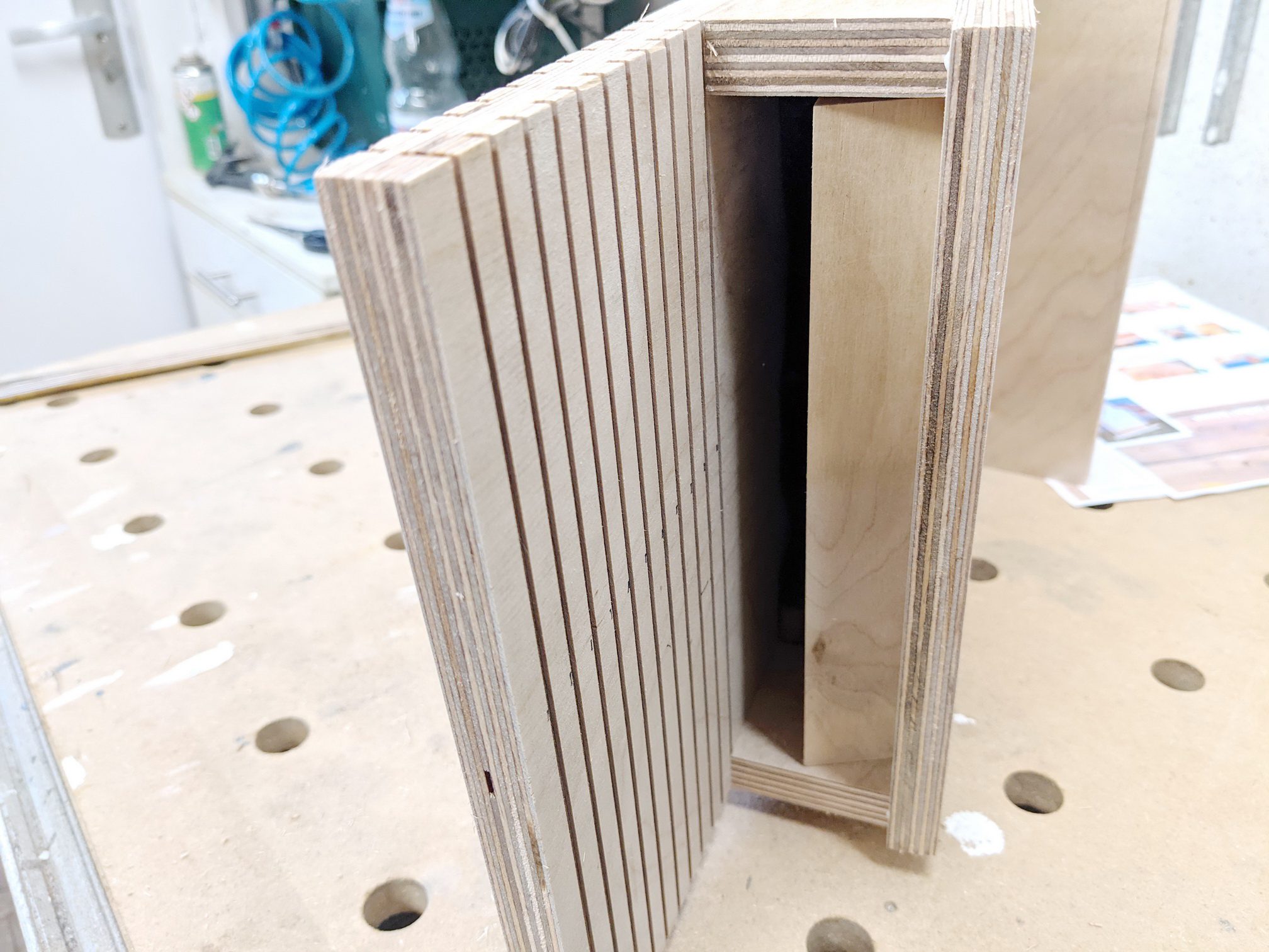 Einflugschacht Fledermauskasten