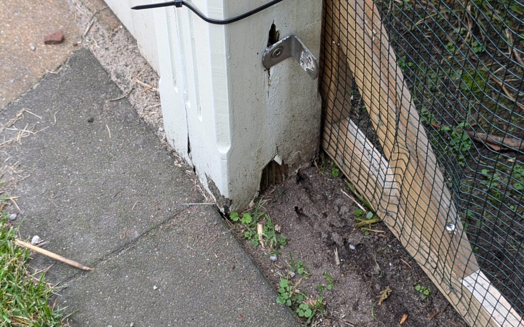 die Mär der unverwüstlichen Lärche