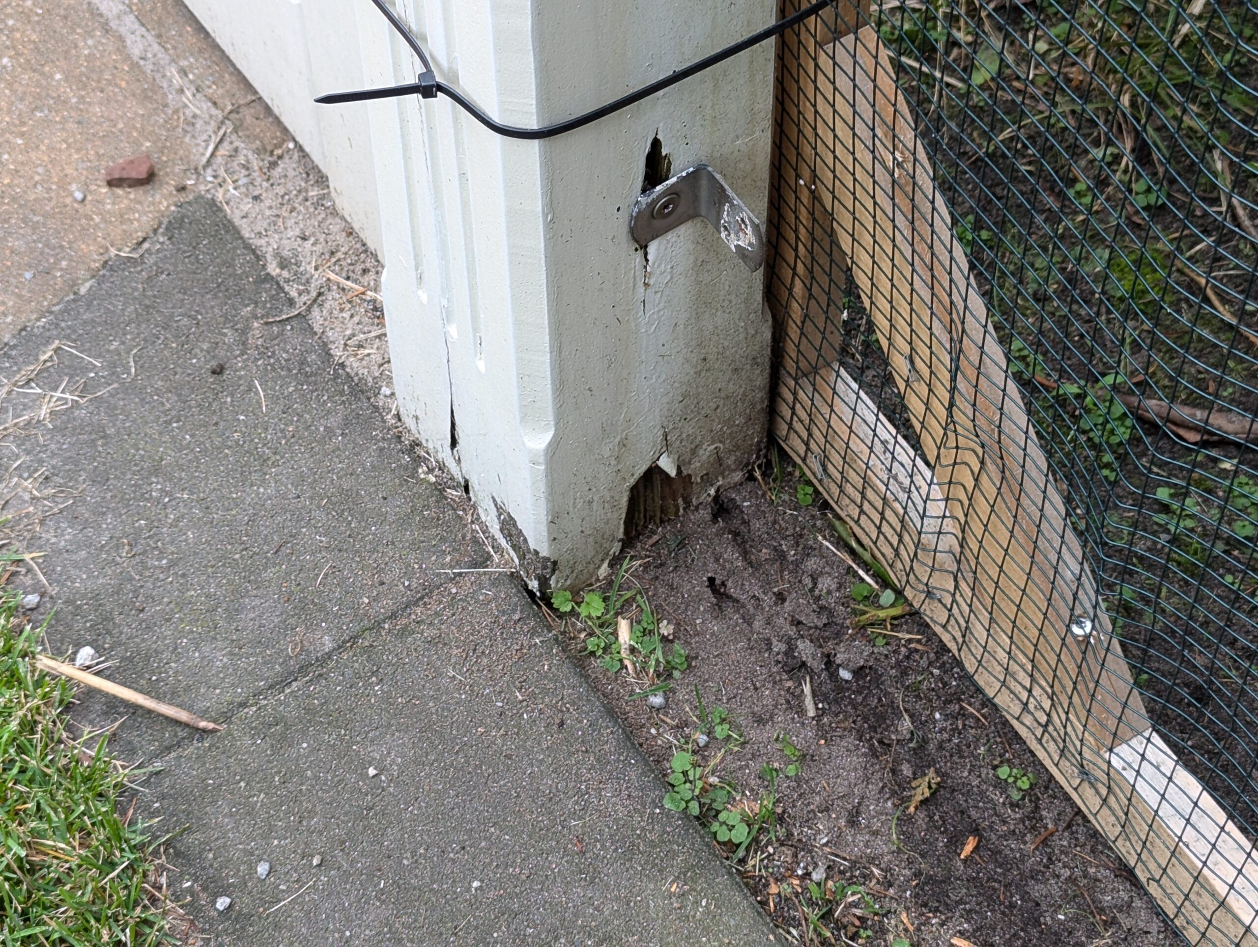 die Mär der unverwüstlichen Lärche