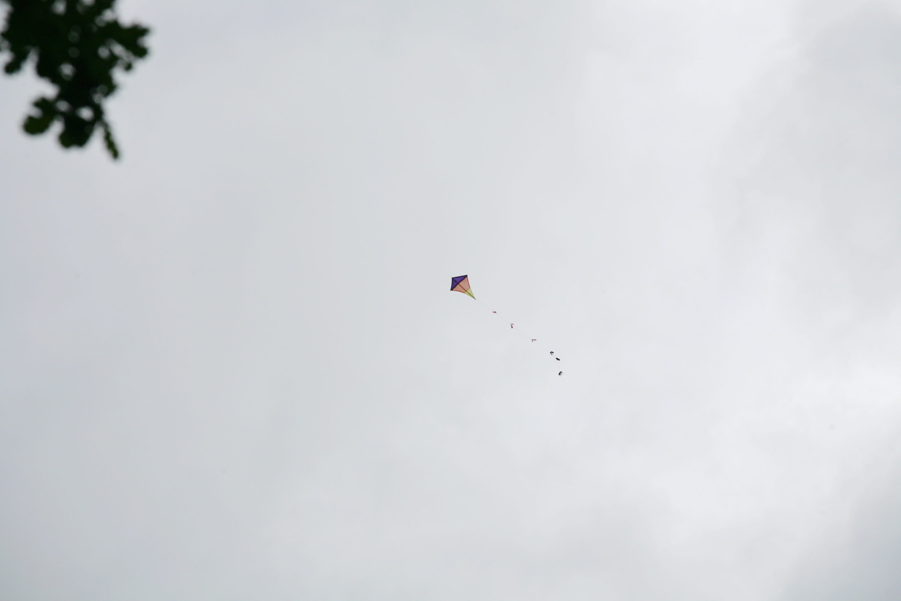 er fliegt Flugdrachen selber bauen