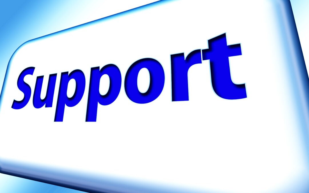 Festool Support: So gut ist der Service wirklich